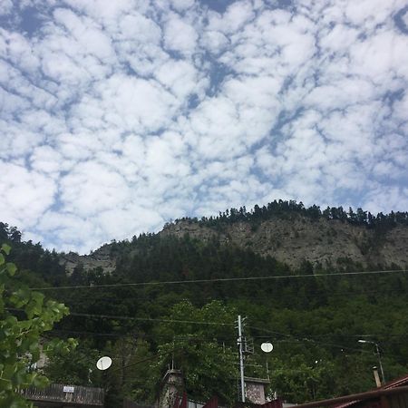 Greenland Hotel Borjomi Bagian luar foto
