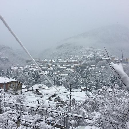 Greenland Hotel Borjomi Bagian luar foto